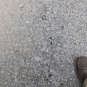 Meet your Posher, Dylan